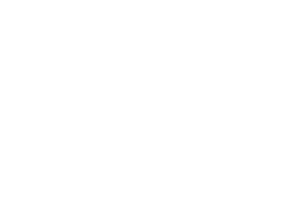 nnexussol